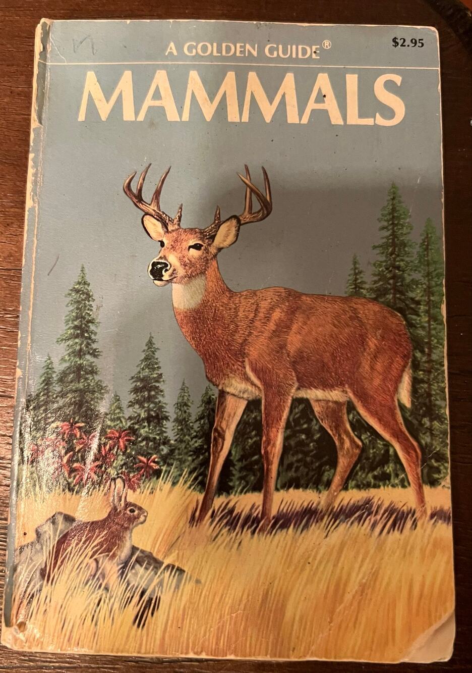 Vintage Golden Guide Mammals Book Herbert Zim Illustrated Wildlife Nature Guide